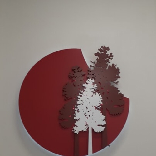 Interior Branding & Decor